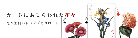 ɤˤ줿֡