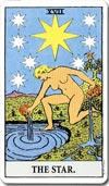 THE STAR 星