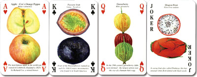 トランプで巡る14ヶ国の旅 楽天市場heritage ヘリテイジ